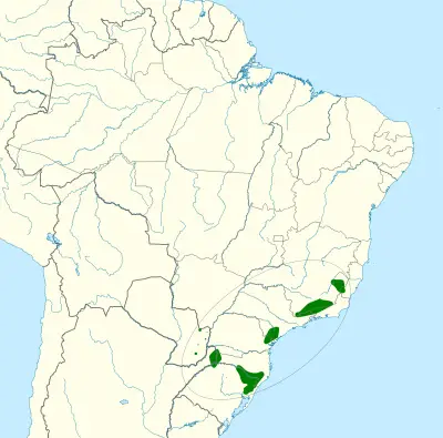 Vinaceous-breasted amazon habitat map