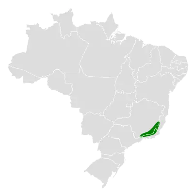 Itatiaia spinetail habitat map