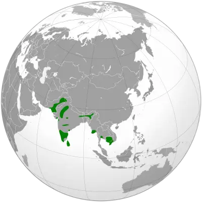 Indian cormorant habitat map