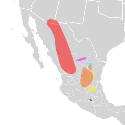 Sceloporus jarrovii habitat map