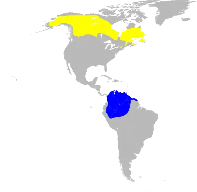 Blackpoll warbler habitat map