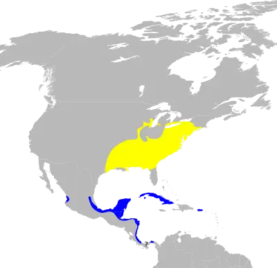 Hooded warbler habitat map