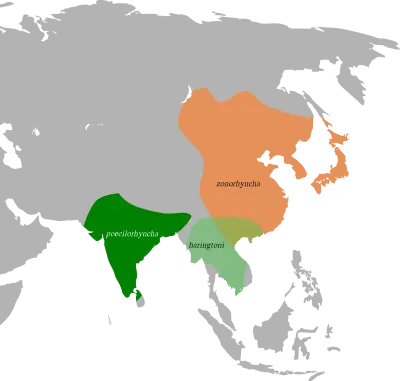 Indian spot-billed duck habitat map