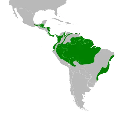Green honeycreeper habitat map
