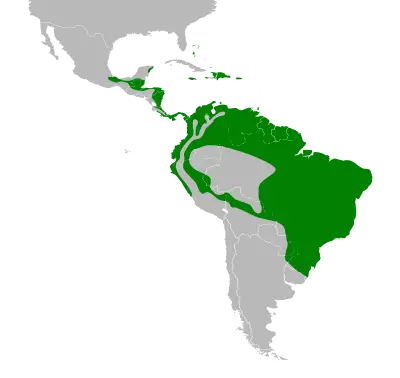 Bananaquit habitat map
