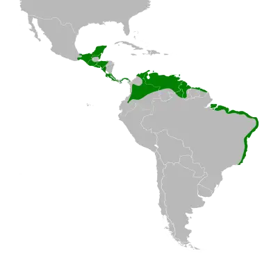 Tropical mockingbird habitat map