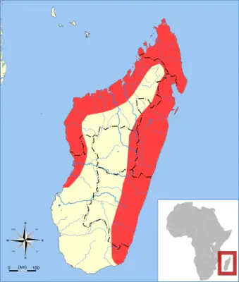 Rousettus madagascariensis карта середовища проживання