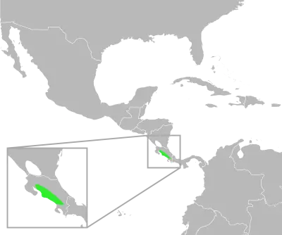 Incilius aucoinae habitat map