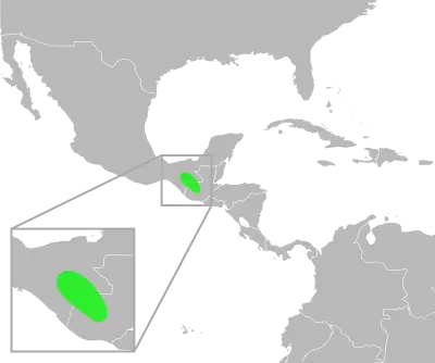 Incilius bocourti habitat map