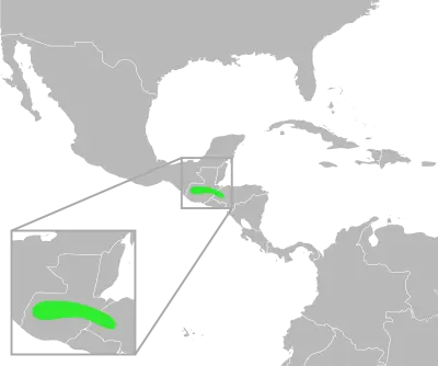 Incilius ibarrai habitat map