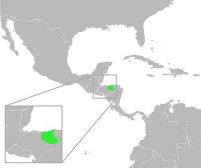 Incilius leucomyos habitat map