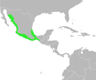 Incilius marmoreus habitat map