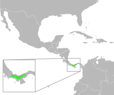 Incilius signifer habitat map
