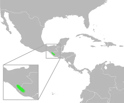 Incilius tacanensis habitat map
