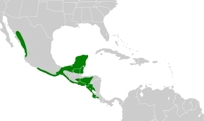 White-fronted amazon habitat map