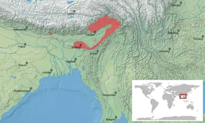 Amolops gerbillus habitat map