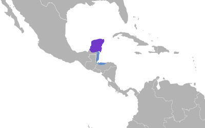 Yucatan nightjar habitat map