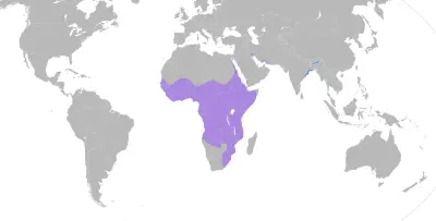 Goliath heron habitat map
