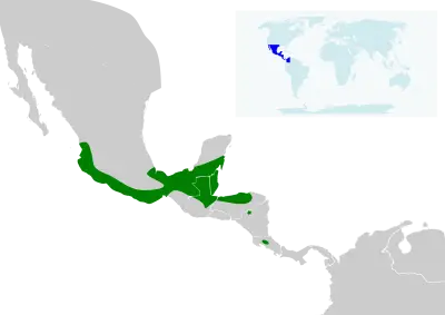 Van Gelder's bat habitat map