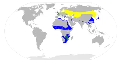 Eurasian bittern habitat map