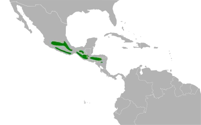 Cinnamon-bellied flowerpiercer habitat map