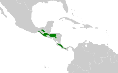 Yellowish flycatcher habitat map