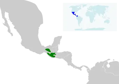 Pink-headed warbler habitat map