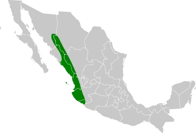 Папуга-горобець мексиканський карта середовища проживання