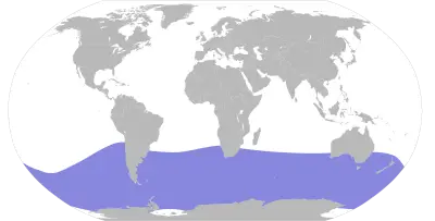 Southern fulmar habitat map