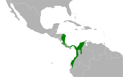 White-throated crake habitat map