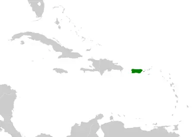 Puerto Rican flycatcher habitat map