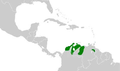Venezuelan flycatcher habitat map