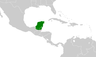 Yucatan flycatcher habitat map