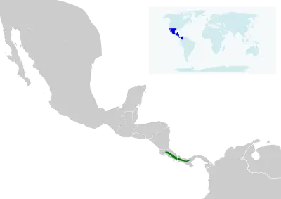 Candelita collareja mapa del hábitat