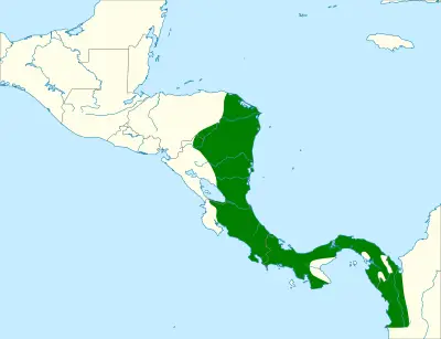 Grey-headed chachalaca habitat map
