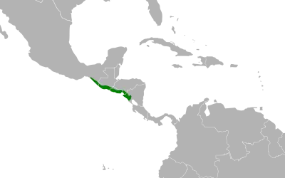 White-bellied chachalaca habitat map