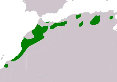 Maghreb magpie habitat map