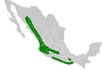 Red-headed tanager habitat map