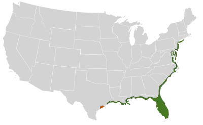 Boat-tailed grackle habitat map