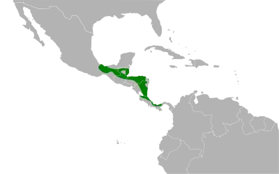Crimson-collared tanager habitat map