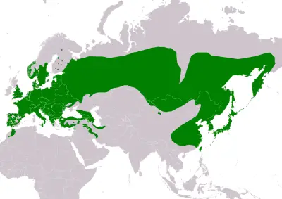 Eurasian nuthatch habitat map