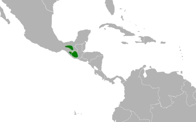 Black-capped siskin habitat map