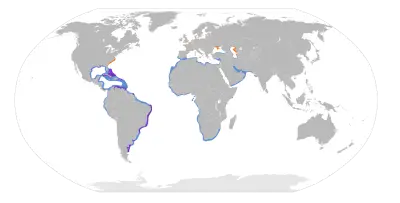Sandwich tern habitat map