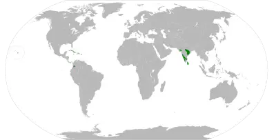 Tricoloured munia habitat map