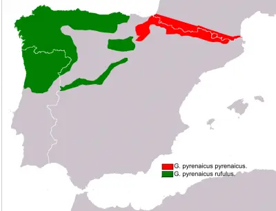 Pyrenean Desman habitat map