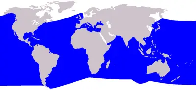 Cuvier's Beaked Whale habitat map