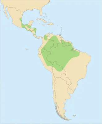 Scarlet Macaw habitat map