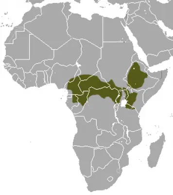 Mantled Guereza habitat map