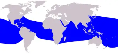 Spinner Dolphin habitat map