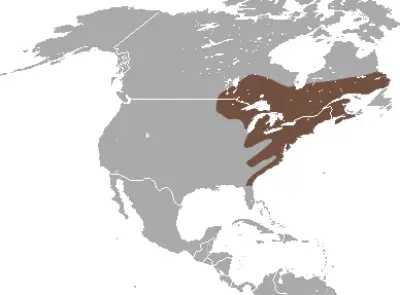 Condylura cristata карта середовища проживання